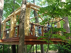 102 Longwood Gardens [2008 August 23]